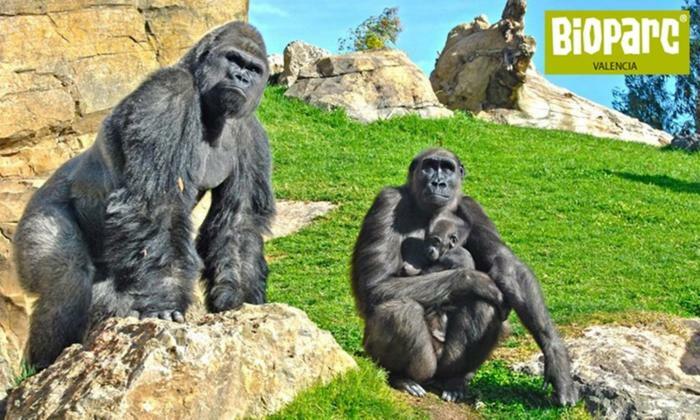 Апартаменти Bioparc Metro Валенсія Екстер'єр фото